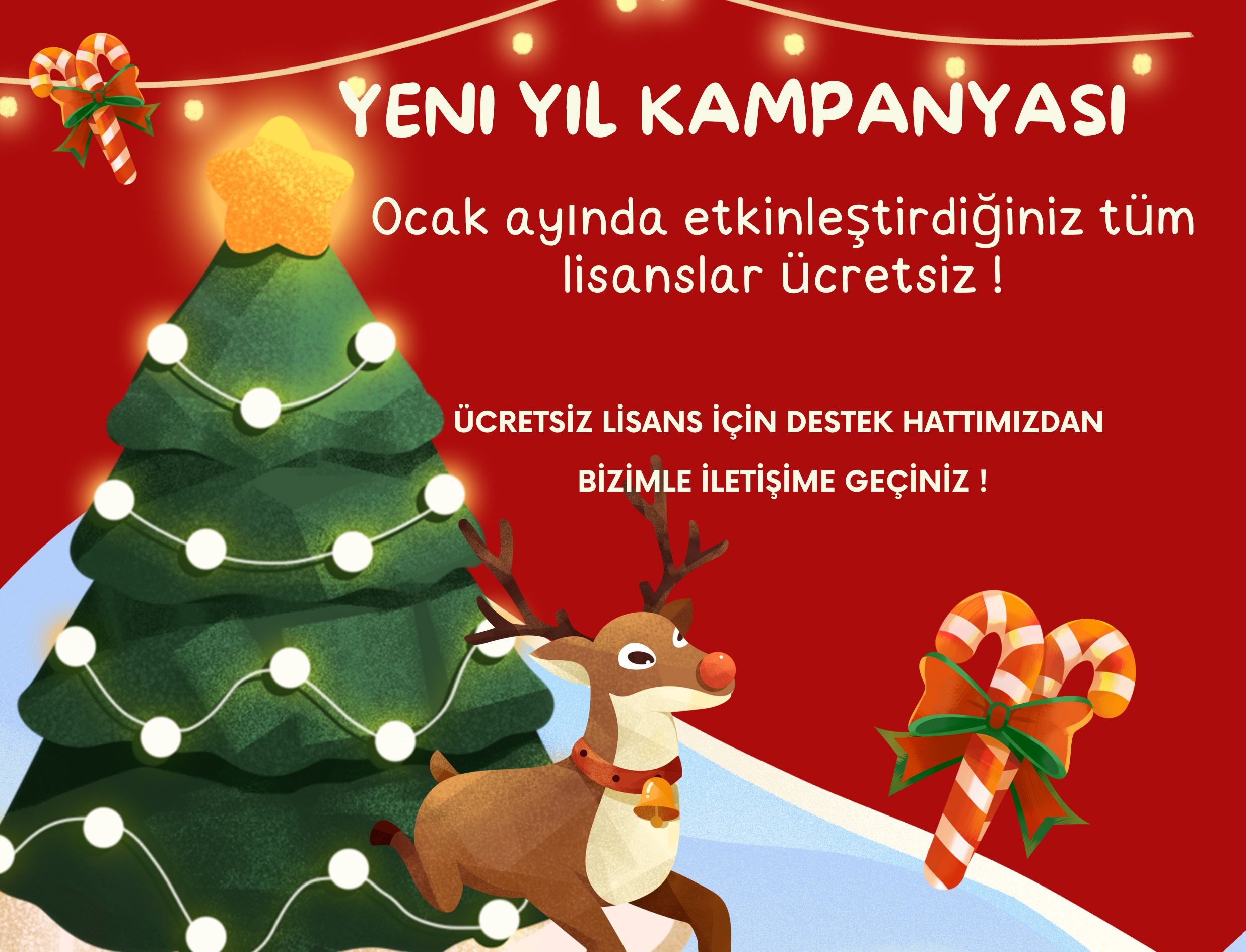 Yeni Yıl Kampanyası